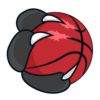Raptors